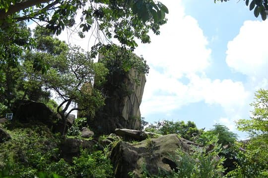 4-Hour Small Group Kowloon Sightseeing Tour