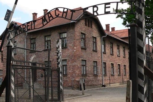 One day tour to Auschwitz-Birkenau & Salt Mine from Krakow with private driver 