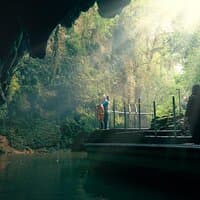 Auckland to Rotorua via Waitomo Caves Small Group Tour (One Way)